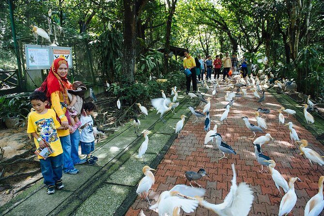 Kuala Lumpur Bird Park, Butterfly Farm And Taman Orkid Include All Entrance - Practical Details and What to Expect
