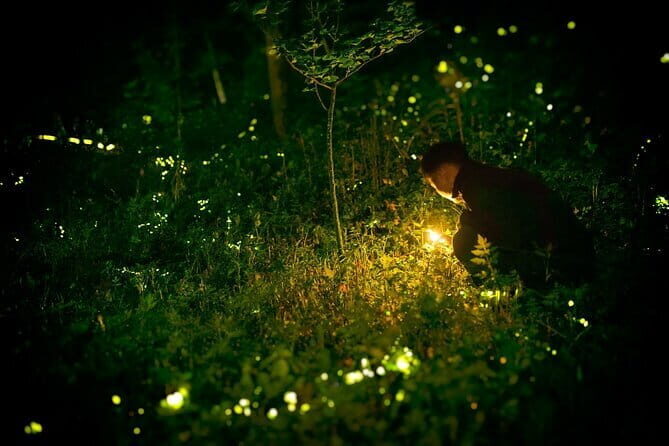 Kuala Lumpur - Fireflies Tour Including Riverside Dinner - FAQ