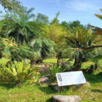 Kuala Lumpur Natural Heritage Walking Tour - What’s Included and What to Keep in Mind