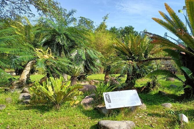 Kuala Lumpur Natural Heritage Walking Tour - What’s Included and What to Keep in Mind