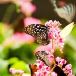 Kuala Lumpur Nature And Gardens Tour - Authentic Insights from Reviewers