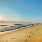 Kuala Lumpur to Cherating One Way Private Transfer - Detailed Review: What to Expect from the Kuala Lumpur to Cherating Private Transfer
