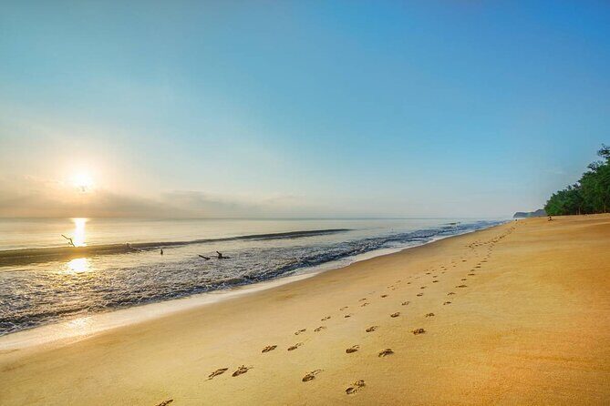 Kuala Lumpur to Cherating One Way Private Transfer - Detailed Review: What to Expect from the Kuala Lumpur to Cherating Private Transfer