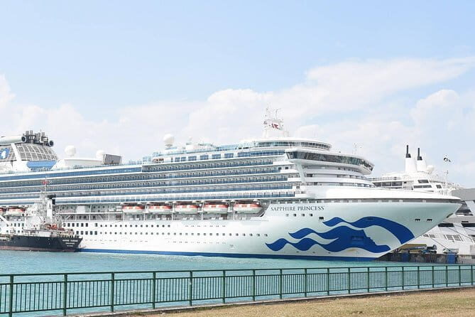 Kuala Lumpur Top 17 Attractions Cruise Excursion Tour - Who Should Consider This Tour?