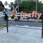 Kuala Selangor Fire Fly Tour - Sharing - Authentic Experiences and Traveler Insights