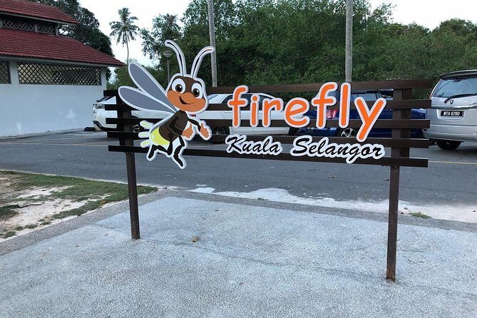 Kuala Selangor Fire Fly Tour - Sharing - Authentic Experiences and Traveler Insights