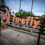 Kuala Selangor Fireflies Tour & Batu Caves Include Seafood Dinner - Who Is This Tour Best For?