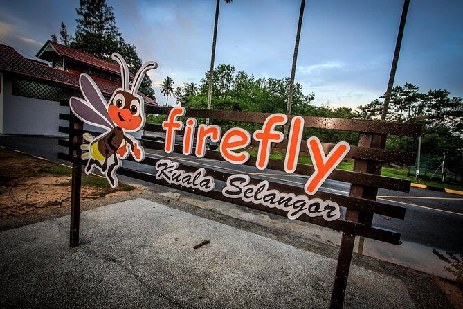 Kuala Selangor Fireflies Tour & Batu Caves Include Seafood Dinner - Who Is This Tour Best For?