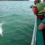 Kuala Sepetang Mangrove & Fireflies Tour with Dinner - Analyzing the Value and Experience