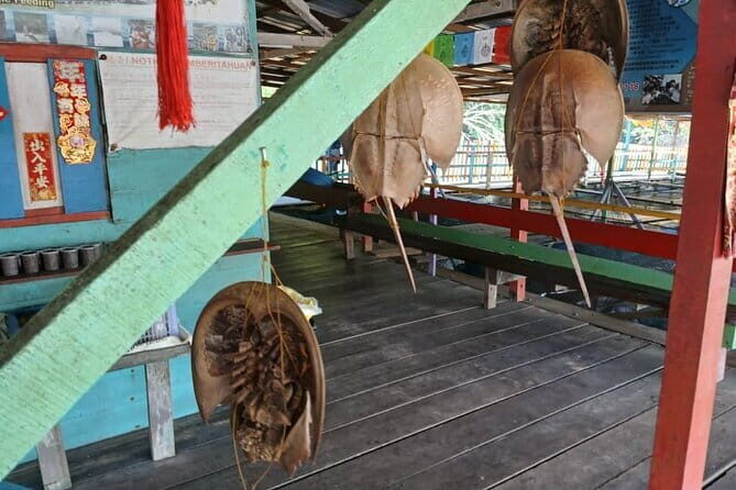 Kuala Sepetang Private Day Tour From Ipoh - Analyzing Value: Is It Worth It?
