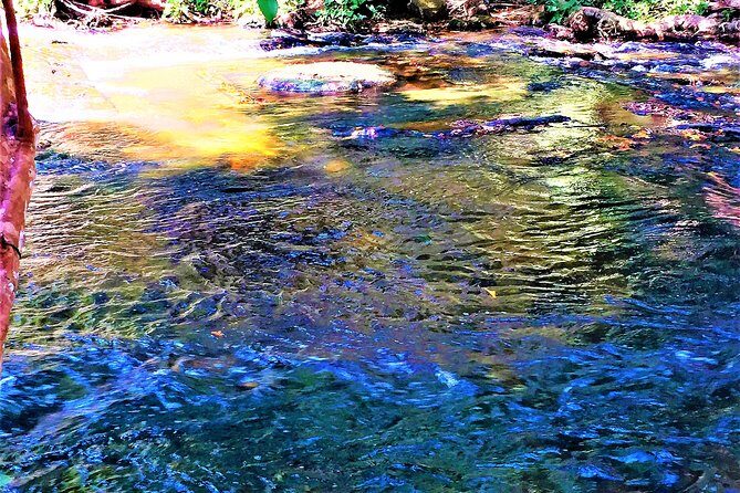 Kulen deep jungle explorations Private Tour - Who Would Love This Experience?