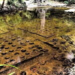Kulen Waterfall & 1000 Lingas Join-in Tour with Tour Guided - Practical Details and Value