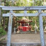 Kumanokodo 1 Day Walking Tour - The Detailed Journey Through Wakayama’s Sacred Trails