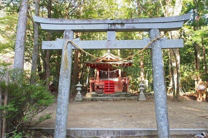 Kumanokodo 1 Day Walking Tour - The Detailed Journey Through Wakayama’s Sacred Trails