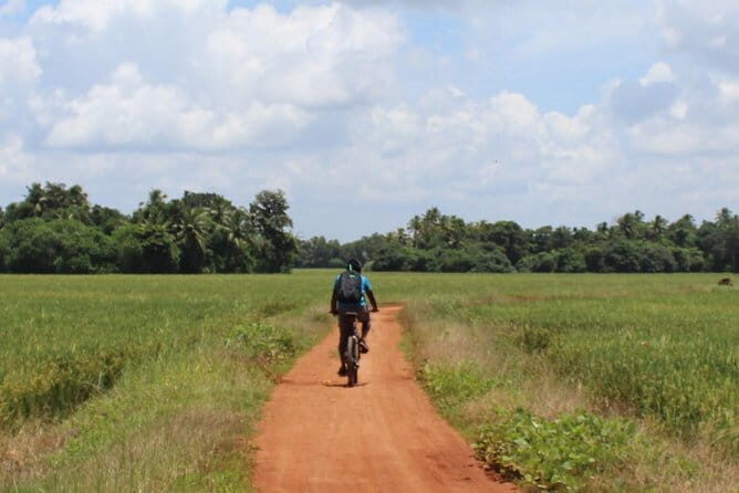 Kuttanad Rice Bowl By Cycle - Practical Considerations