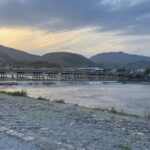 Kyoto 1 Day Charter Car Tour from Osaka or Kyoto - In-Depth Look at the Itinerary