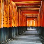 Kyoto and Miyama Full Day Tour from Osaka - Who Should Book This Tour?