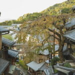 Kyoto and Uji for Classic Shrine and Matcha Private car Day Tour - Who Is This Tour Best For?