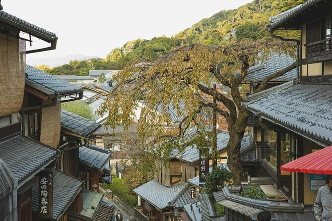 Kyoto and Uji for Classic Shrine and Matcha Private car Day Tour - Who Is This Tour Best For?