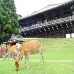 Kyoto Arashiyama Fushimi Inari Taisha Shrine and Nara Park Tour - Who Will Love This Tour?
