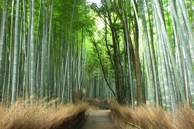 Kyoto Bus Tour: Arashiyama, Kinkaku-ji, Fushimiinari Shrine BF - Who Should Consider This Tour?