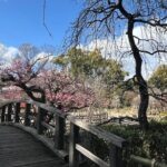 Kyoto Early Bird Half Day Private Tour with Transfer - Why This Tour Offers Great Value