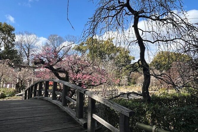 Kyoto Early Bird Half Day Private Tour with Transfer - Why This Tour Offers Great Value