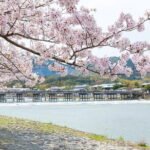 Kyoto Exclusive Private Tour with Vehicle & Professional Guide - Practical Details & Tips