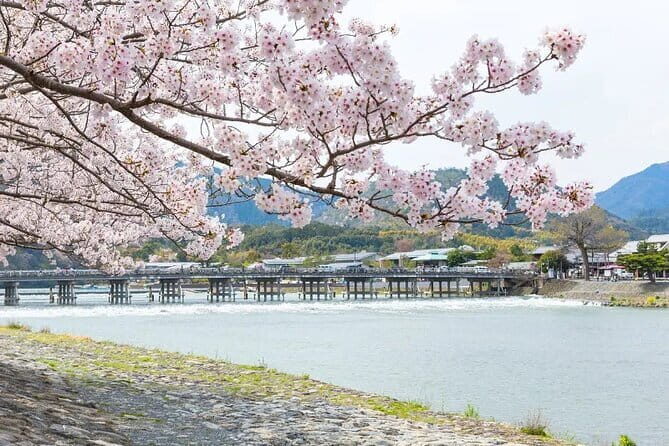 Kyoto Exclusive Private Tour with Vehicle & Professional Guide - Practical Details & Tips