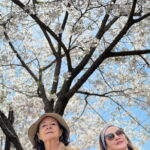 Kyoto Exploration with an Accredited Government Guide - The Practical Side: What You Need to Know