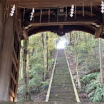 Kyoto from Above: Hike Mt. Amida with Kiyomizu Views - Practical Details and Value