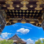 Kyoto Full Day Sightseeing Tour from Osaka or Kyoto - What to Expect from the Tour
