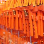 Kyoto Full Day Tour with a Local Travel Companion - The Sum Up