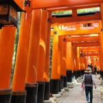 Kyoto Highlights of 6 Hour Private Car Tour - A Detailed Look at the Kyoto Highlights Private Car Tour