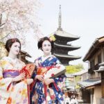 Kyoto Kiyomizudera Temple : Maiko Strolling plan - Who Should Consider This Tour?