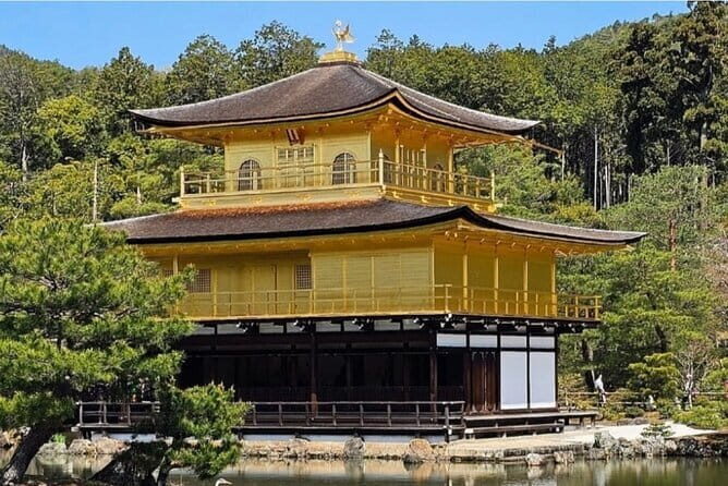 Kyoto Nara Private Guided Tour with Pick up - The Unfiltered Experience: What Reviewers Say