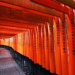 Kyoto: Private City Highlights Tour by Car - What Travelers Say