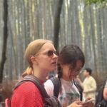 Kyoto private tour |english speaking driver only : No guide - The Sum Up