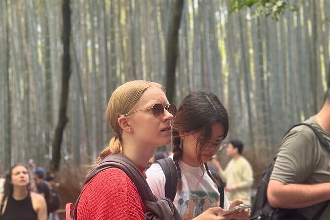 Kyoto private tour |english speaking driver only : No guide - The Sum Up