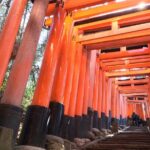 Kyoto Private Tour with National Licensed Guide - What You Can Expect From This Tour