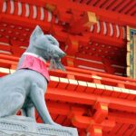 Kyoto Private Tour with National Licensed Guide from Osaka - Why This Tour Offers Great Value