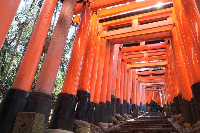 Kyoto Private Tour with National Licensed Guide - What You Can Expect From This Tour