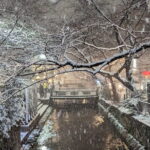 Kyoto Refined Palate: A Food Tour for Discerning Adventurers - The Sum Up