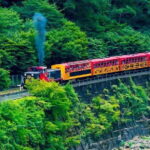 Kyoto Sansen-in Arashiyama Train 1 Day Tour from Osaka or Kyoto - In-Depth Itinerary Breakdown