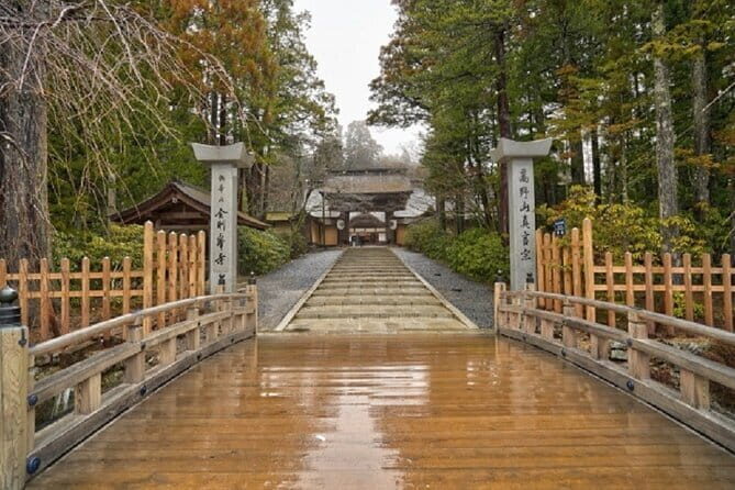 Kyoto to Mt. Koya One Day Walking Tour - The Value of Guided Context