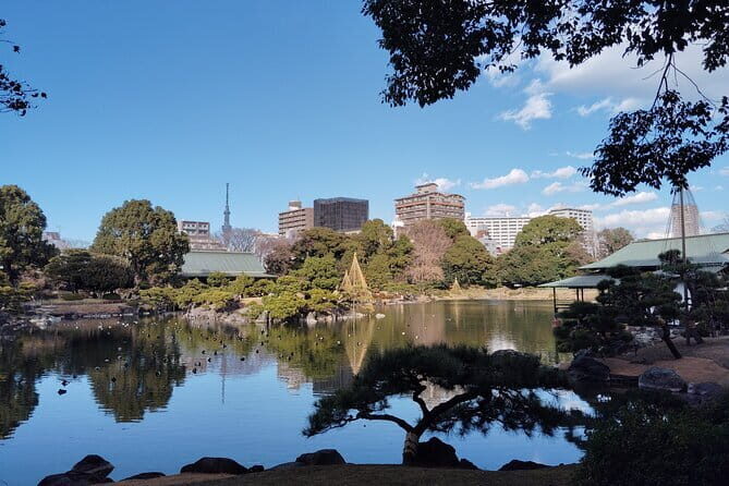 Kyu-Yasuda, Kiyosumi and Hama-Rikyu Tokyo Garden Tour - Practical Details and What to Expect