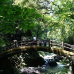 Kyushu Kamishiromi Shrine, Amano Iwato, and Takachiho Gorge Tour - The Experience: What Sets This Tour Apart