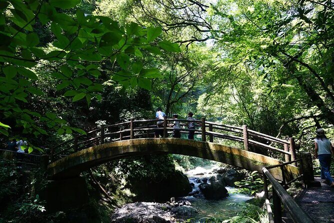 Kyushu Kamishiromi Shrine, Amano Iwato, and Takachiho Gorge Tour - The Experience: What Sets This Tour Apart