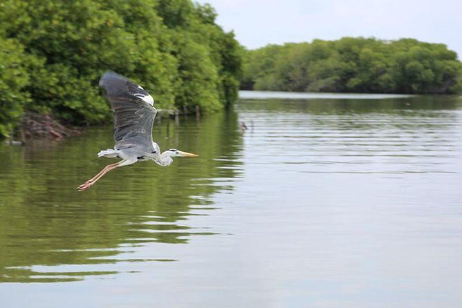 Lagoon Escapes Negombo Day Trip - Practical Details and Value
