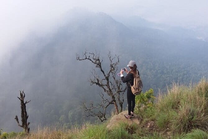 Langbian Mountain Trekking - Flora and Fauna Encounters